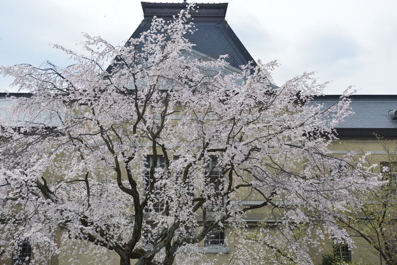b0042837_06149.jpg