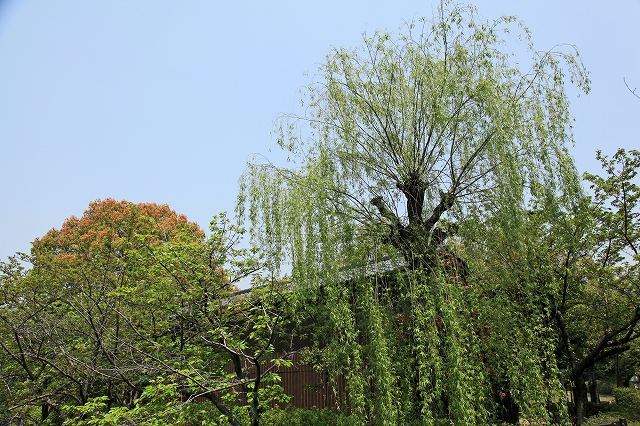a0242438_1965269.jpg