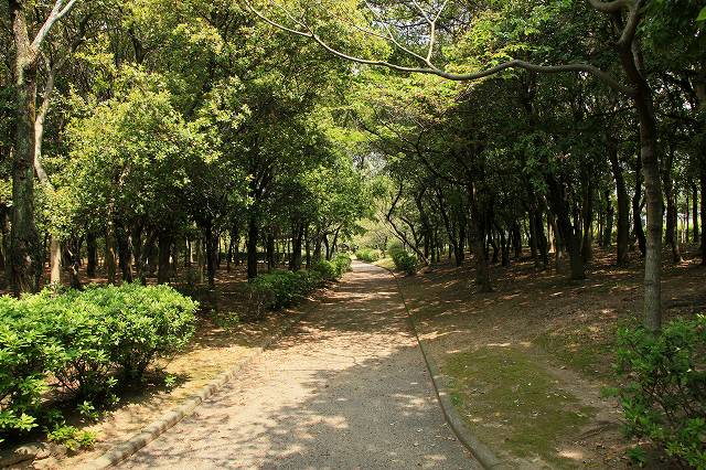 a0242438_1975693.jpg