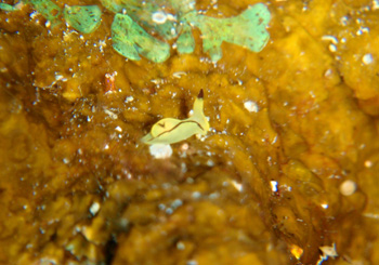 f0014842_20213990.jpg