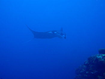 f0014842_20235925.jpg
