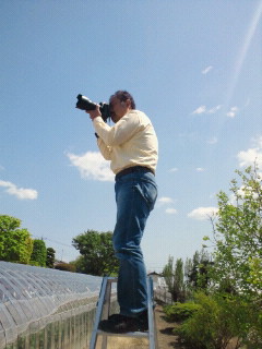 e0150849_132250.jpg