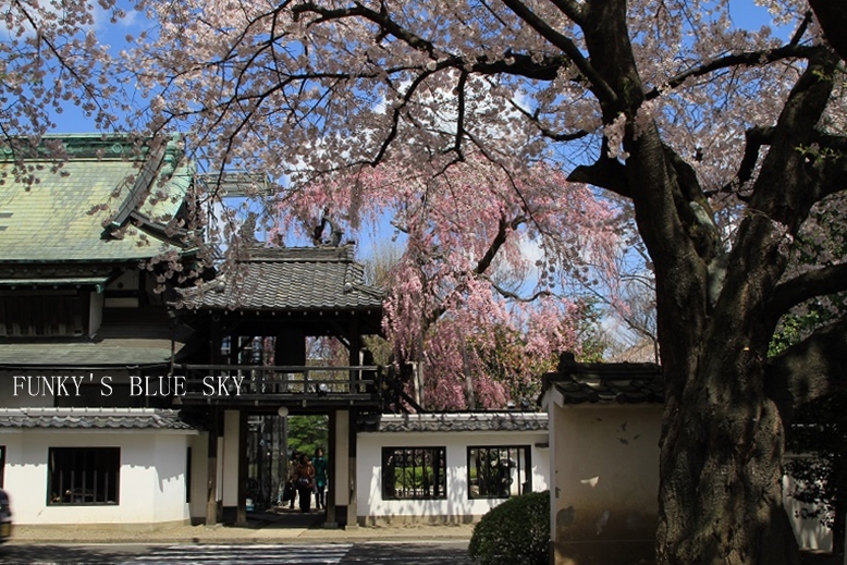 c0145250_20184824.jpg