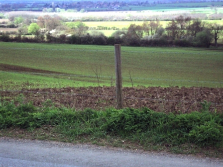 e0010856_9325793.jpg