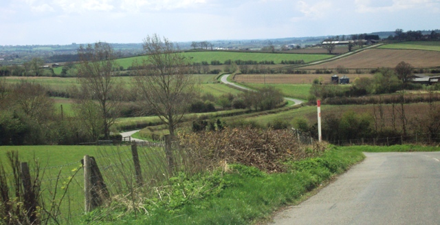 e0010856_940542.jpg