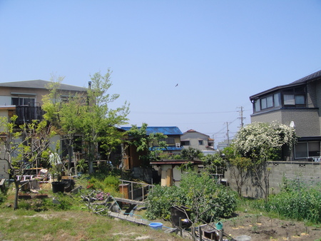 c0108460_20335952.jpg