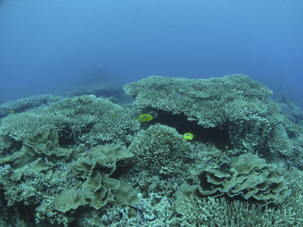 b0062363_19592360.jpg