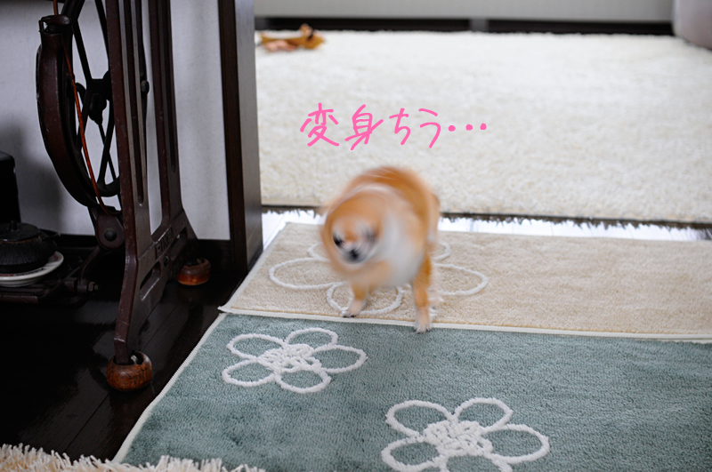 c0026870_2342751.jpg