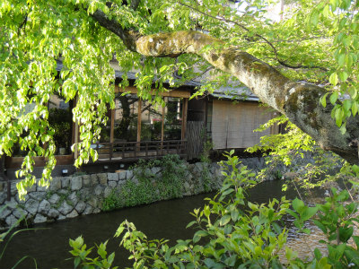 d0182075_171177.jpg
