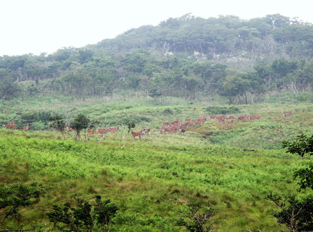 a0253180_74347100.jpg