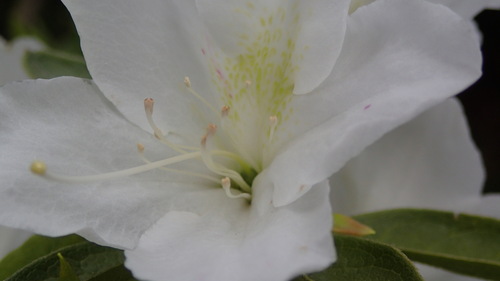 e0024081_7245572.jpg