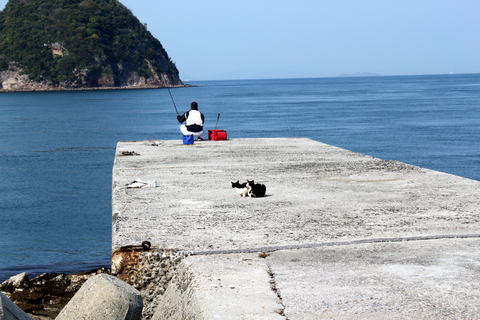 f0257085_203511.jpg
