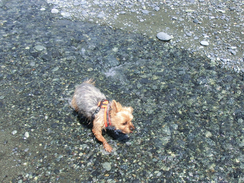 e0123587_21225960.jpg