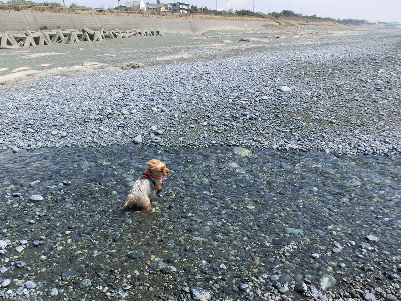 e0123587_216191.jpg