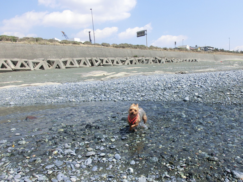 e0123587_216227.jpg