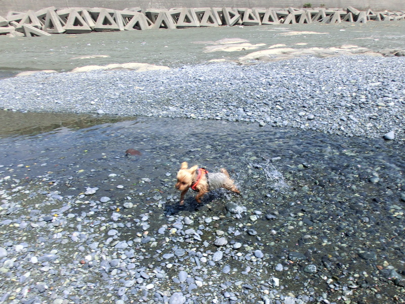 e0123587_2165100.jpg