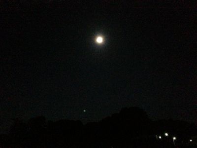 f0138995_1442100.jpg