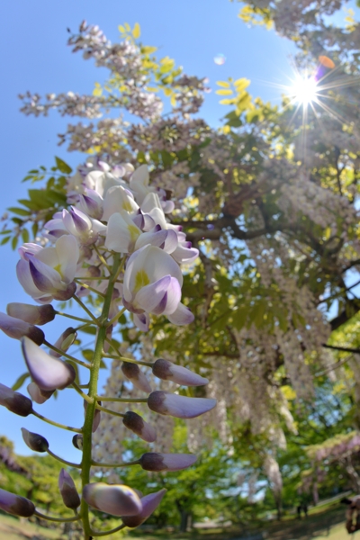 f0233999_16324728.jpg