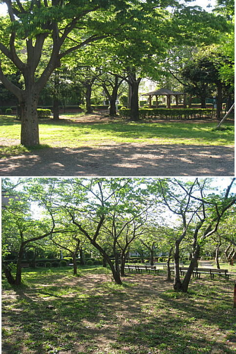 d0046702_520543.jpg