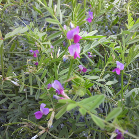 e0099212_20284164.jpg