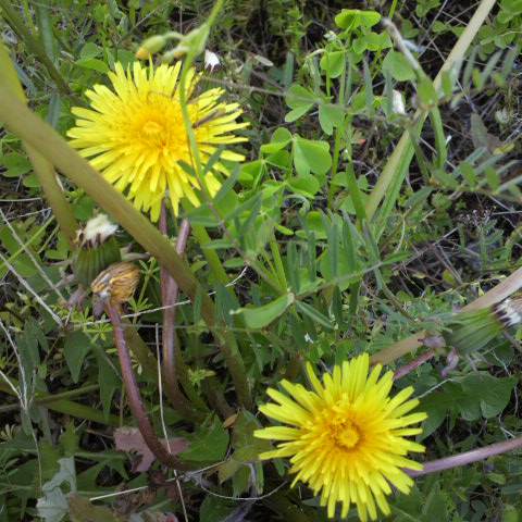 e0099212_2028916.jpg
