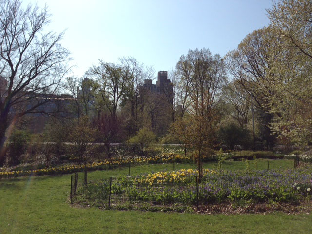 e0195115_11103213.jpg