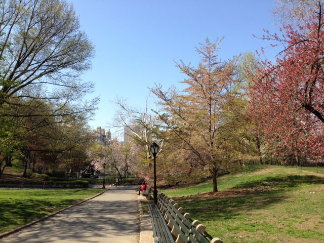 e0195115_11112236.jpg