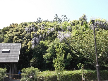 d0282219_22572332.jpg