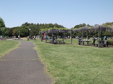 d0282219_2259135.jpg