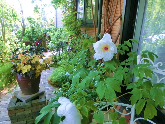 c0204121_1011013.jpg