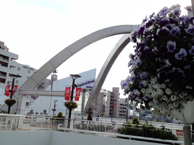 d0008724_23482014.jpg