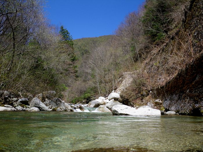 f0188724_21582381.jpg