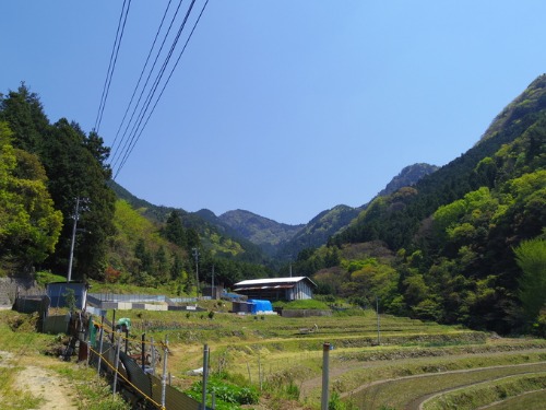 f0213825_1462374.jpg