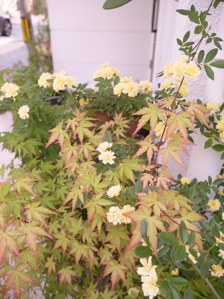 f0231829_0234023.jpg