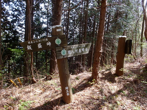 b0281732_1334170.jpg