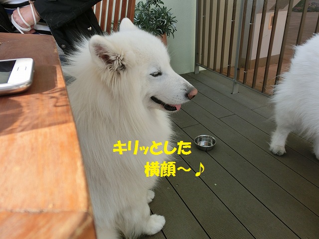 e0196135_22132235.jpg