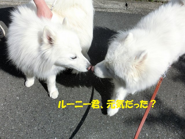 e0196135_2282221.jpg