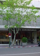 d0164636_8402060.jpg