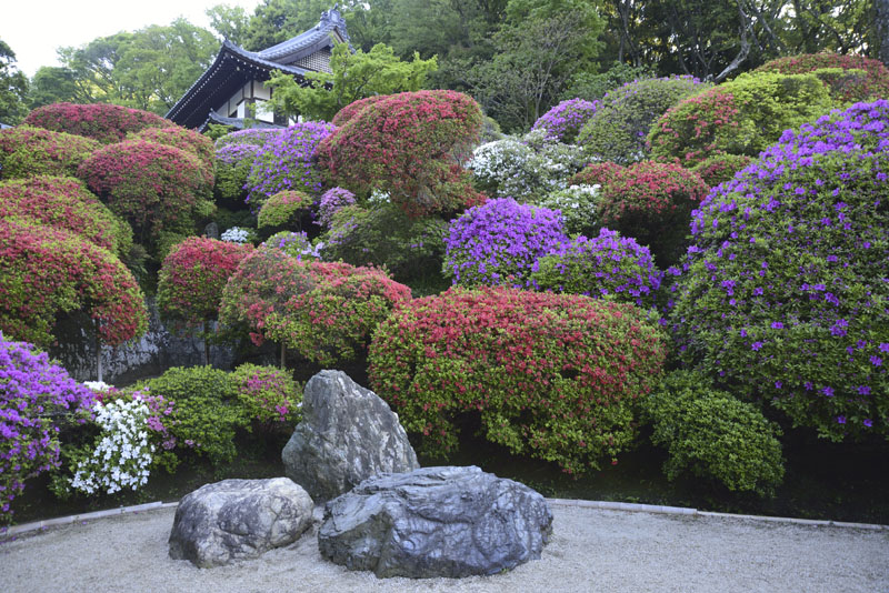 b0042837_14313166.jpg