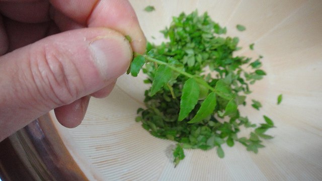 f0208737_816161.jpg