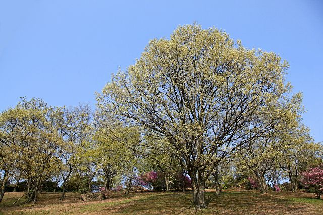 a0242438_20551717.jpg