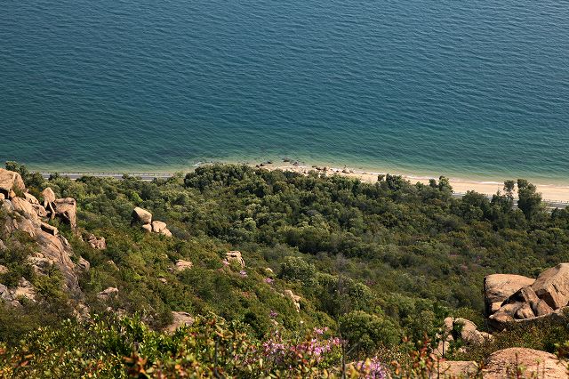 a0242438_205551100.jpg