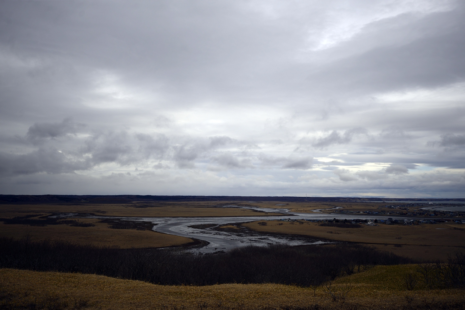 c0221838_174067.jpg