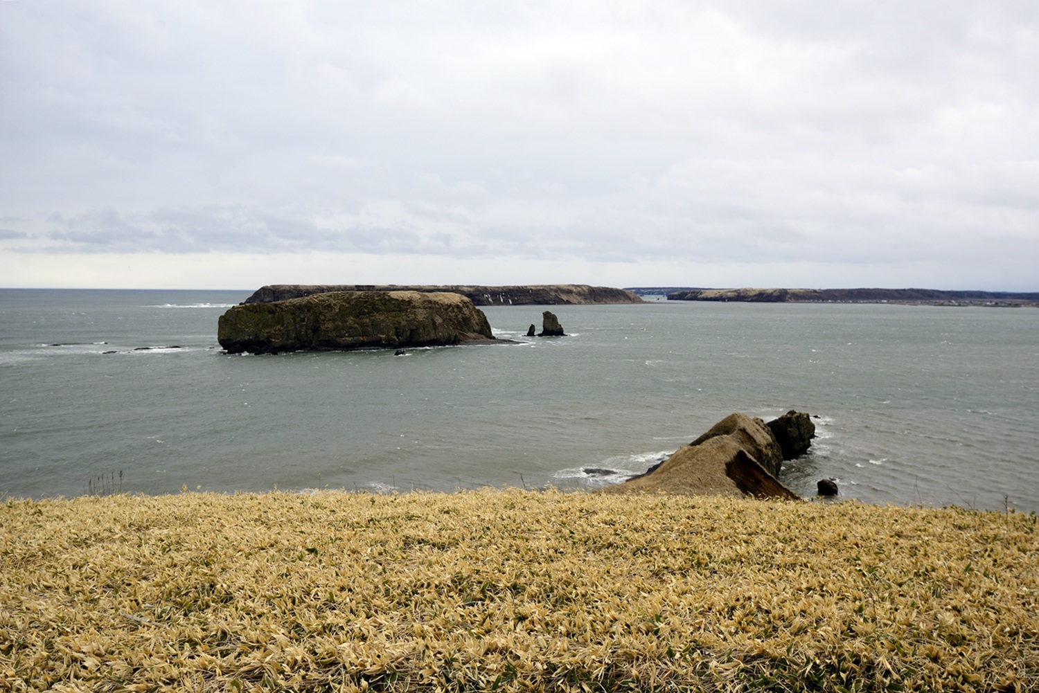 c0221838_177217.jpg