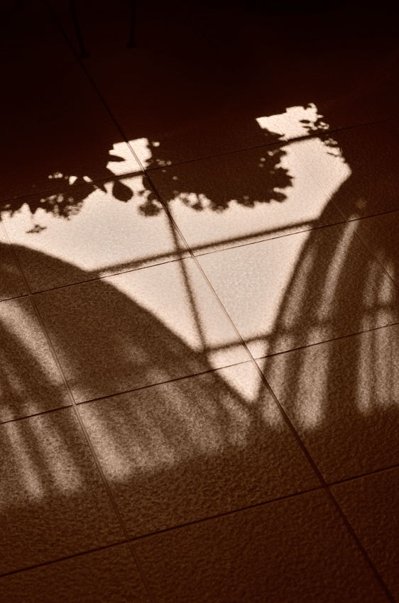 c0171945_2225294.jpg