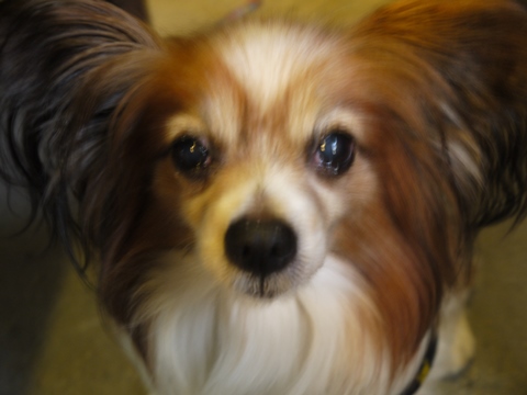 e0100046_22533052.jpg