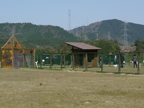 e0100046_22562497.jpg