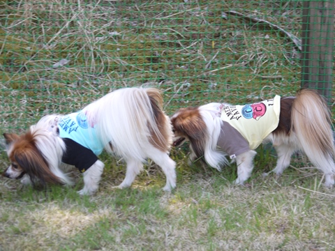 e0100046_22571926.jpg