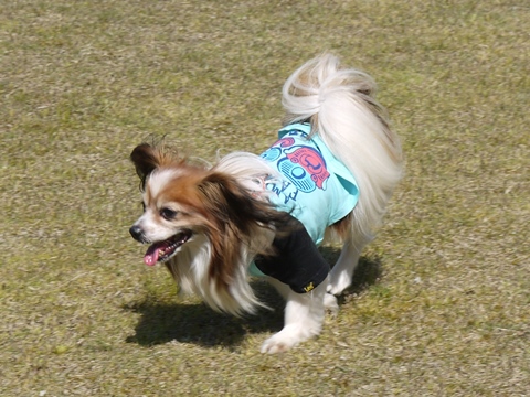 e0100046_22575938.jpg