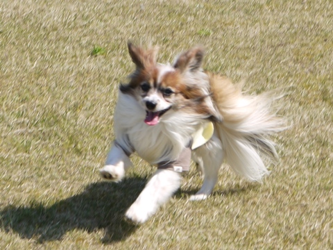 e0100046_22583750.jpg